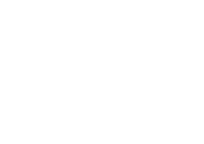 Aurix Luxury Services